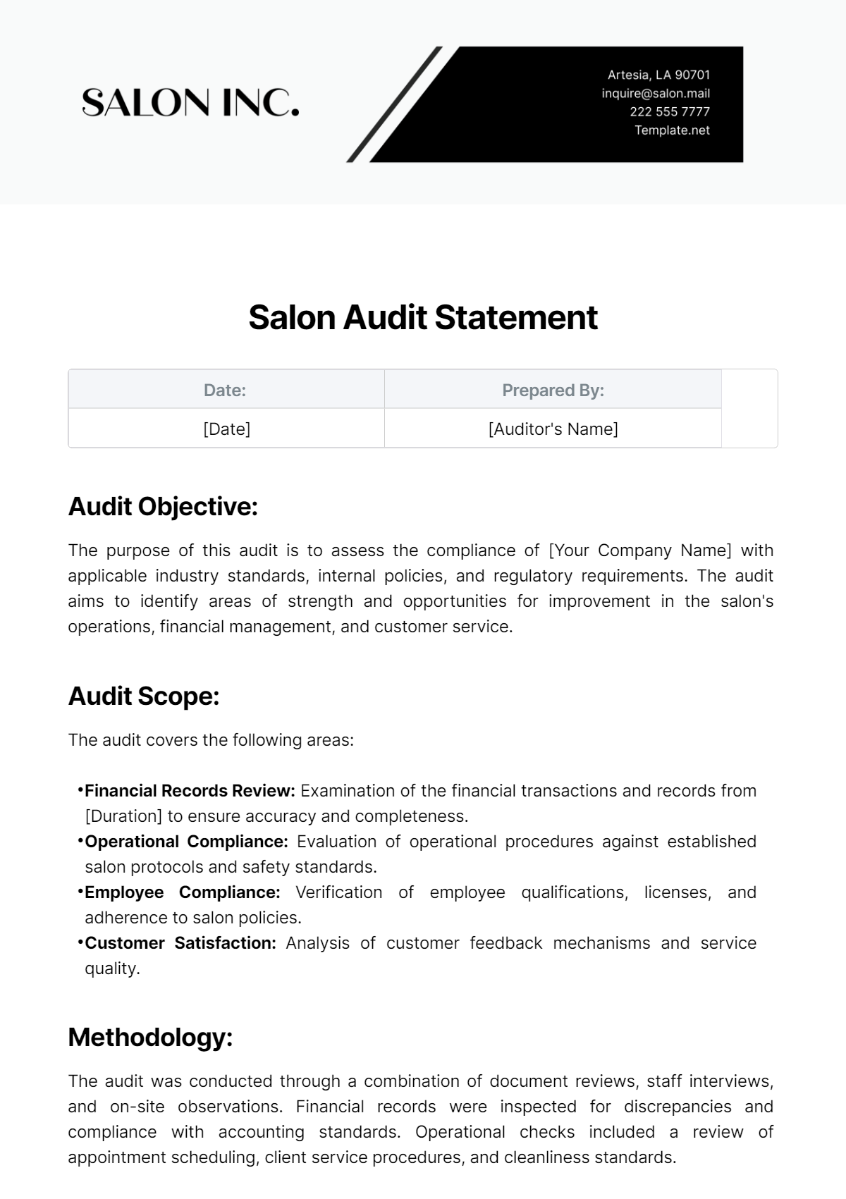 Salon Audit Statement Template