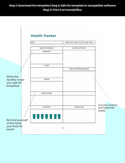 Daily Health Planner Template Format 