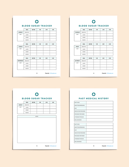 Printable Medical Planner Template - Word, Apple Pages | Template.net