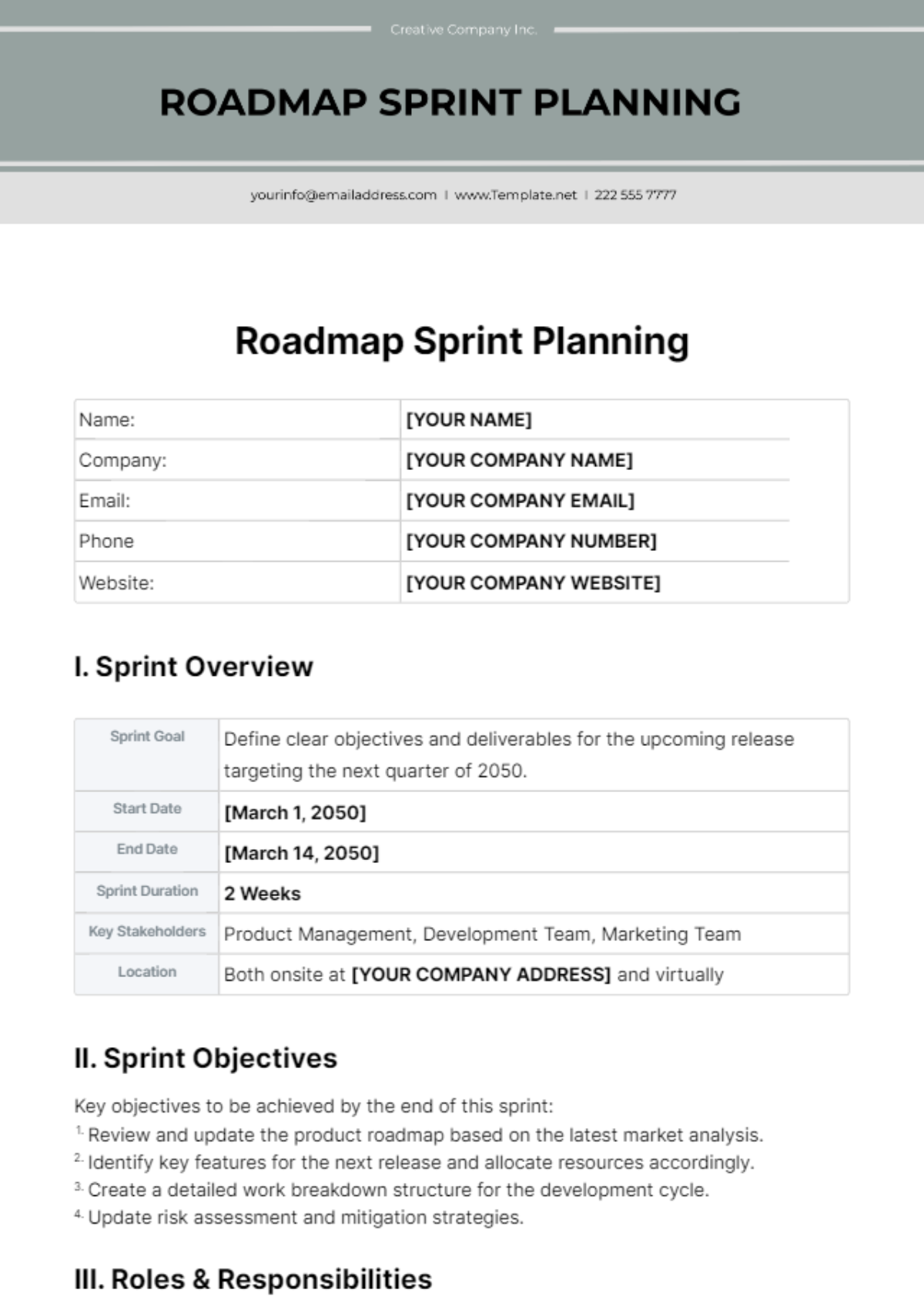 Roadmap Sprint Planning Template - Edit Online & Download