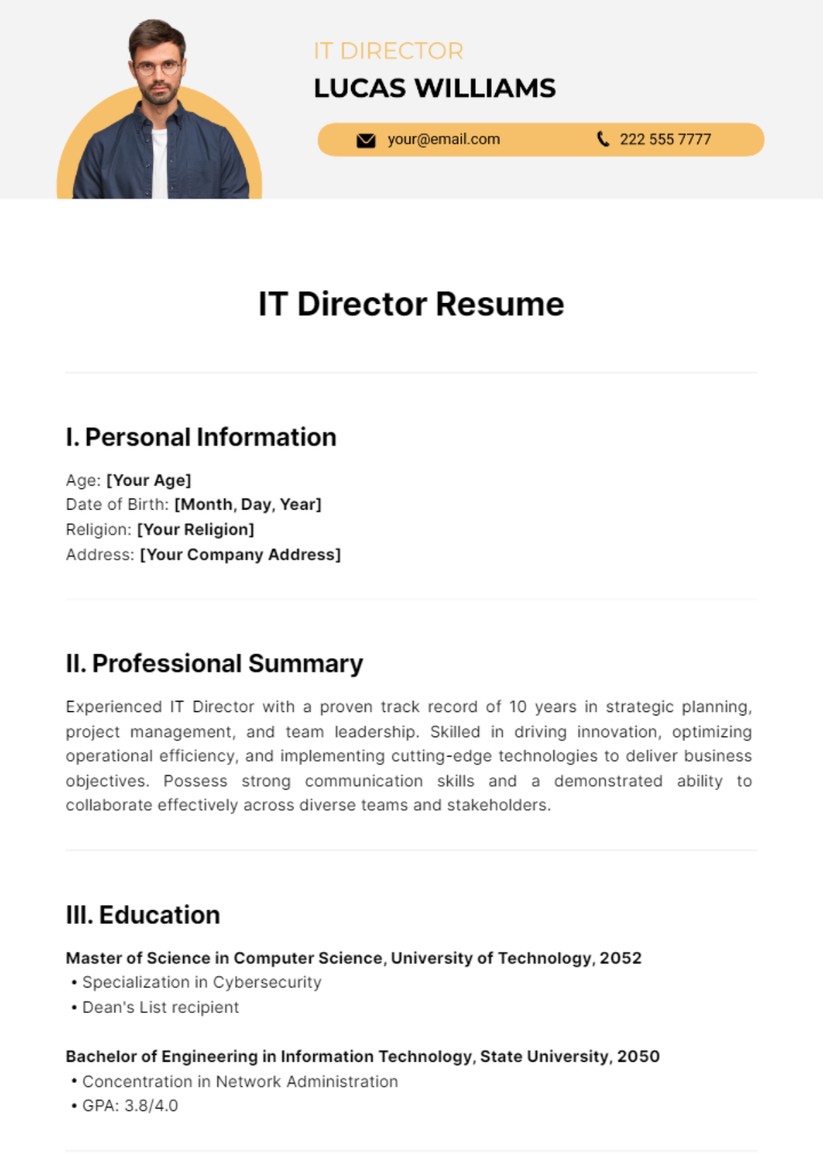 IT Director Resume Template