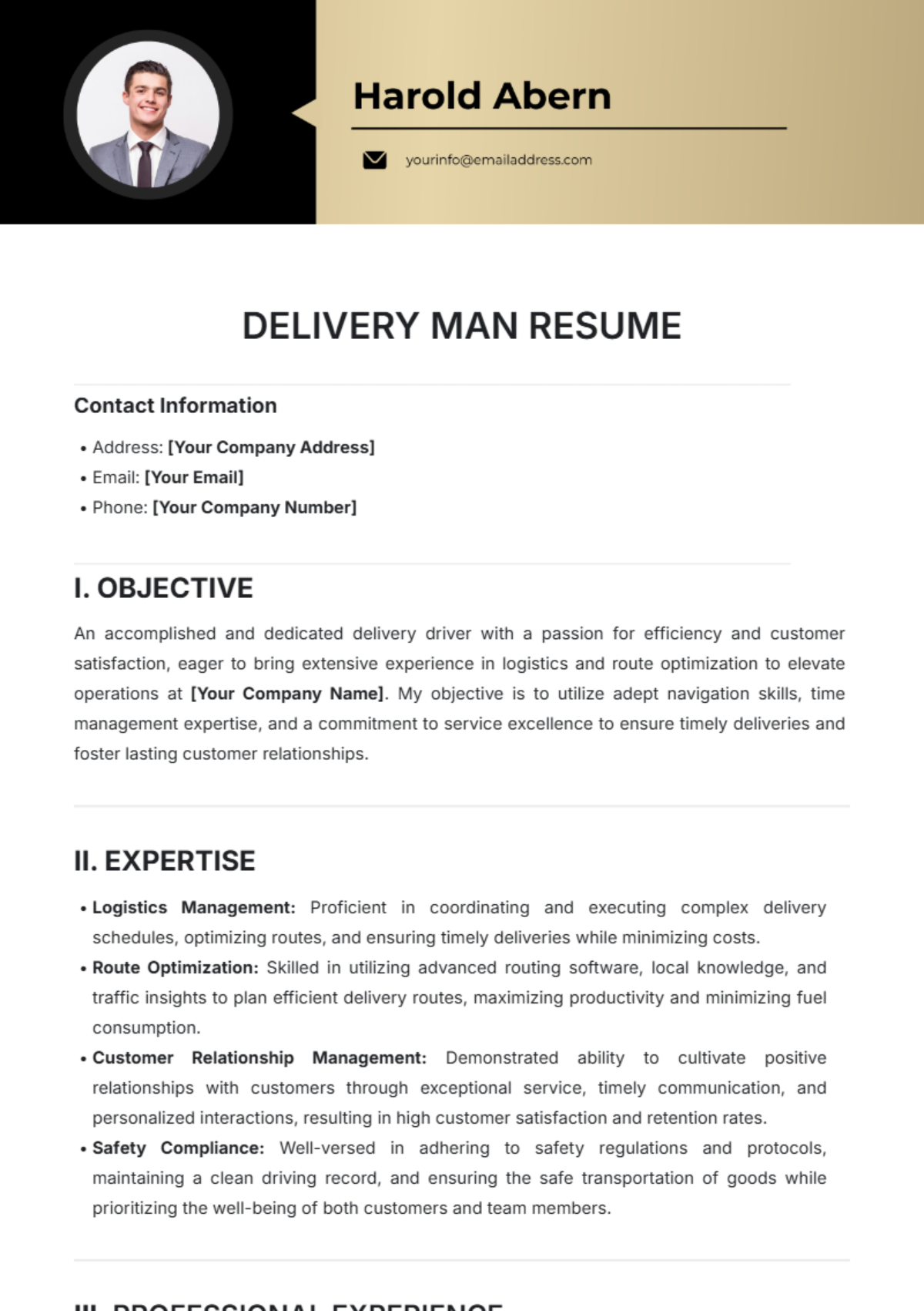 Printable Delivery Driver Resume Template - Edit Online & Download