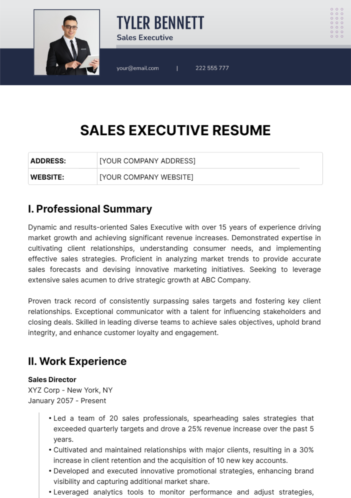 Sales Executive Resume Template