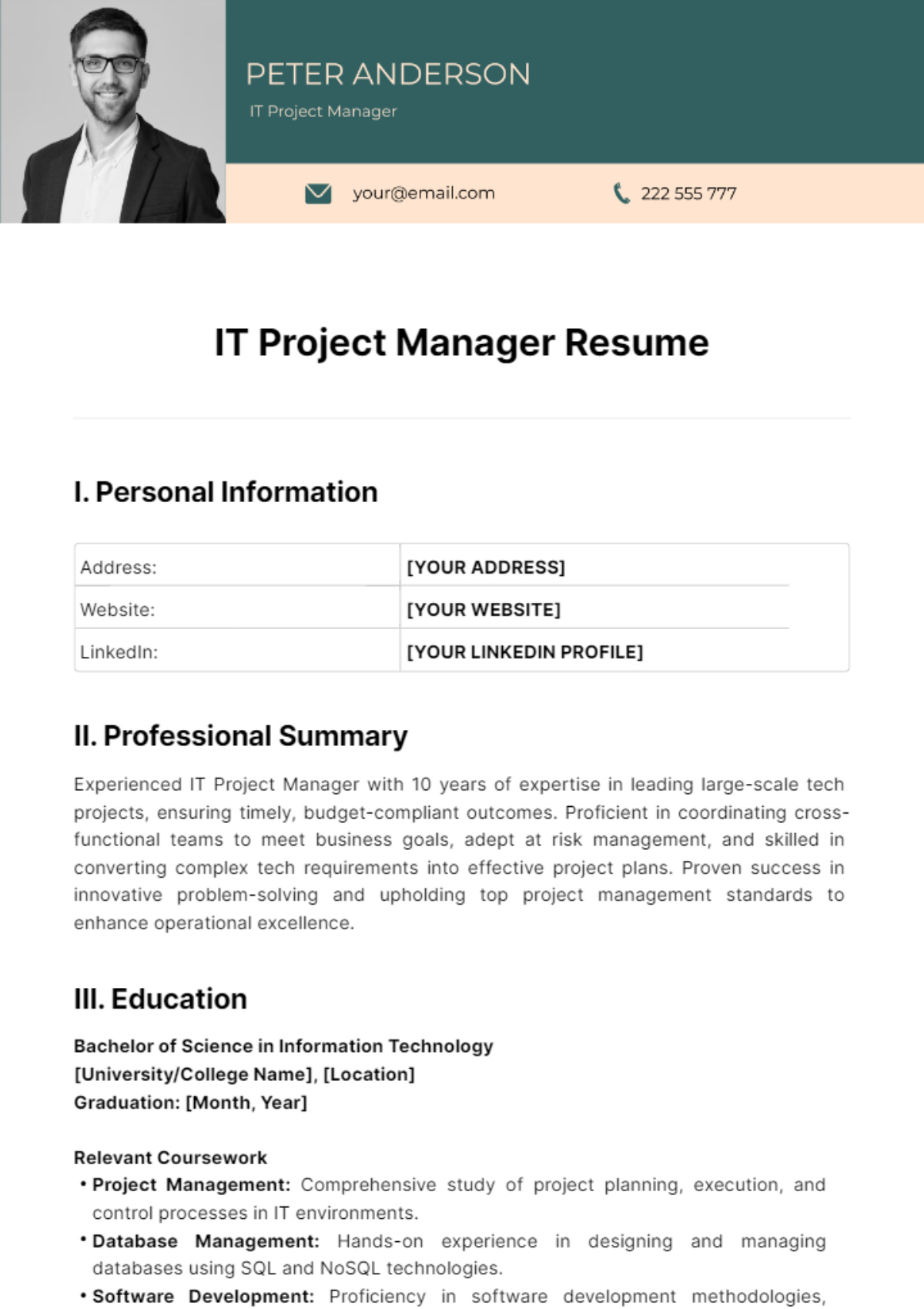IT Project Manager Resume Template