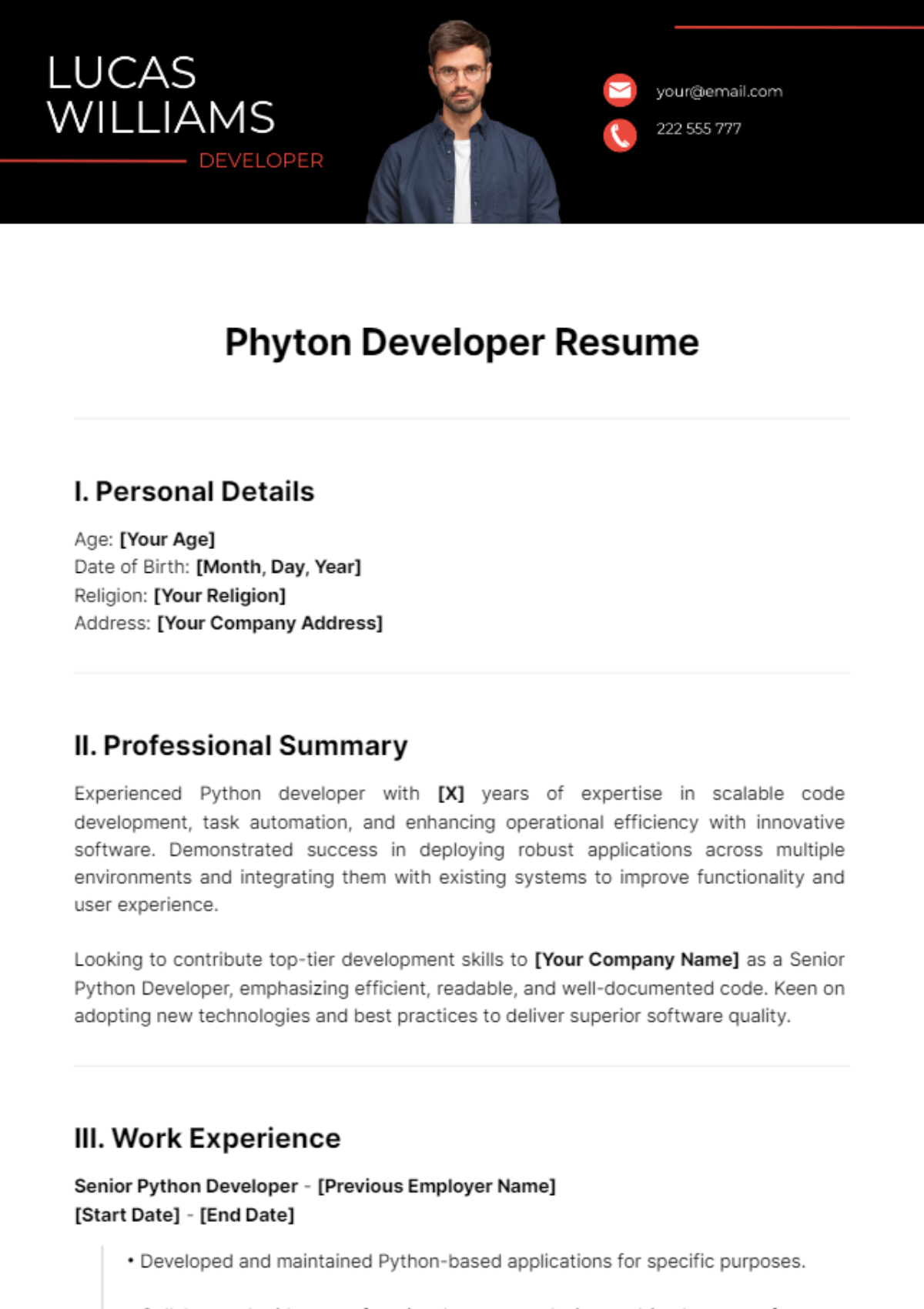 Phyton Developer Resume Template