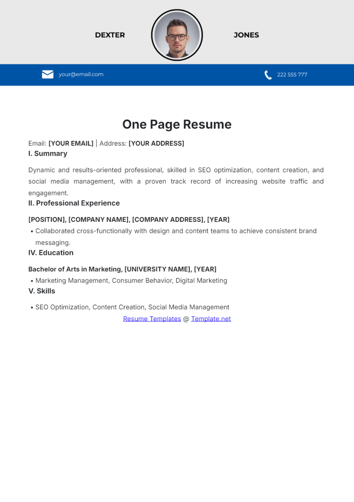 Free One Page Resume Template to Edit Online