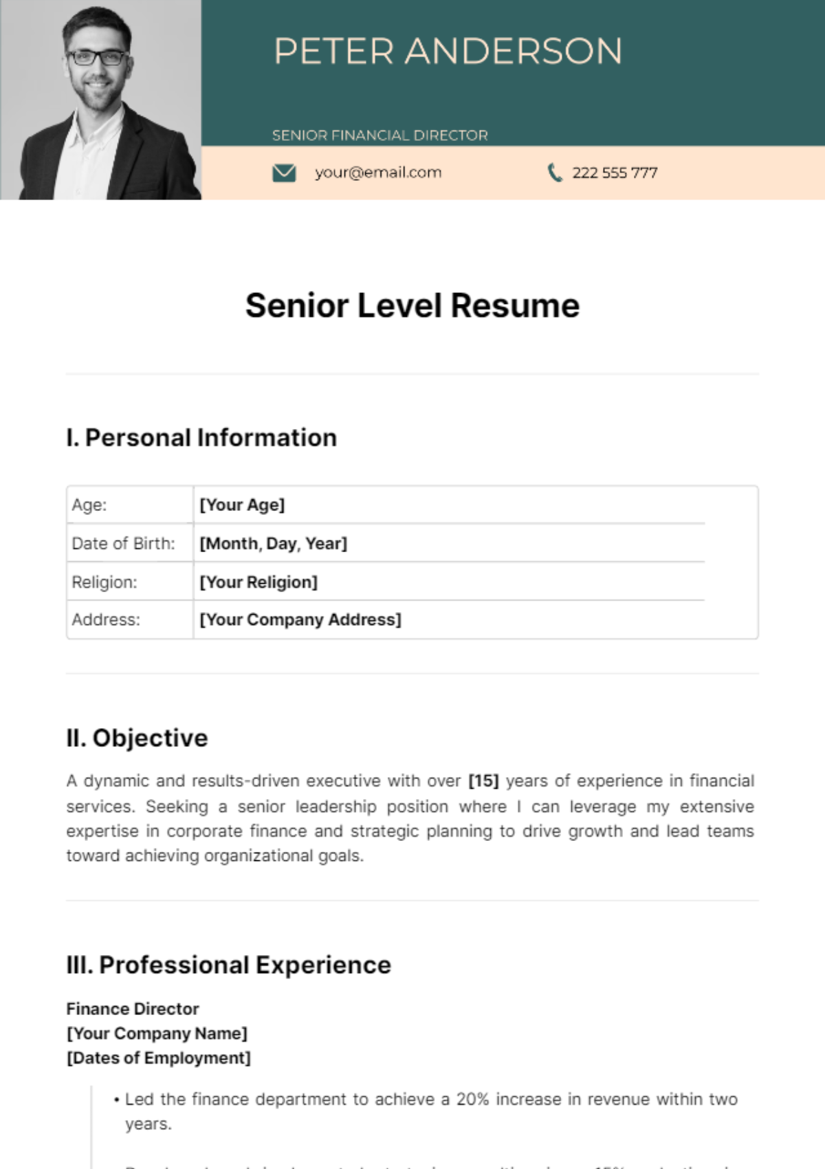 Senior Level Resume Template