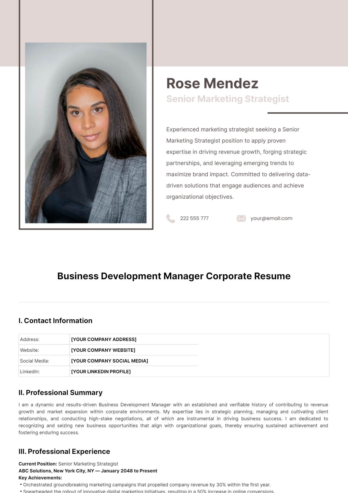 Business Development Manager Corporate Resume Template