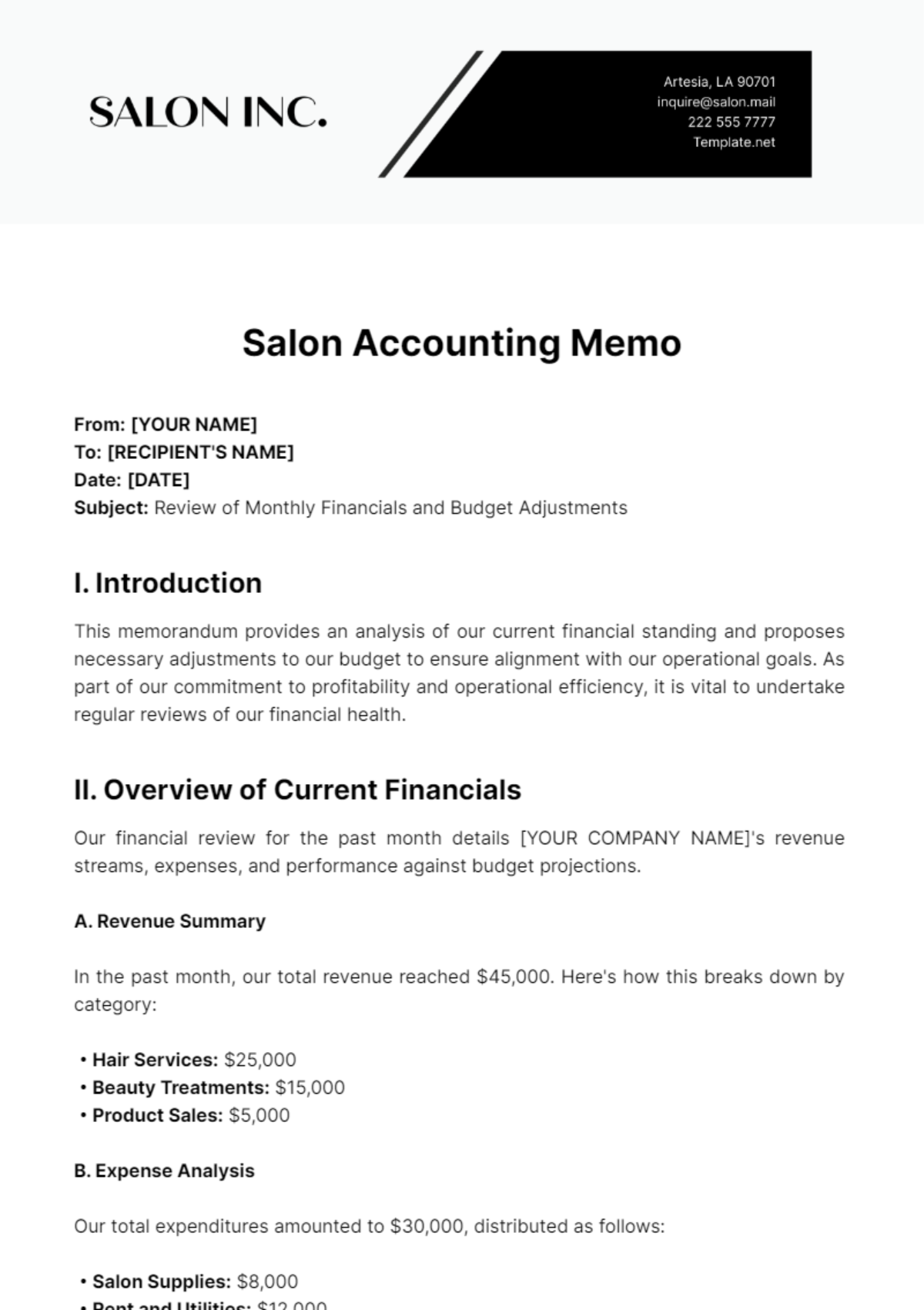 Salon Accounting Memo Template - Edit Online & Download