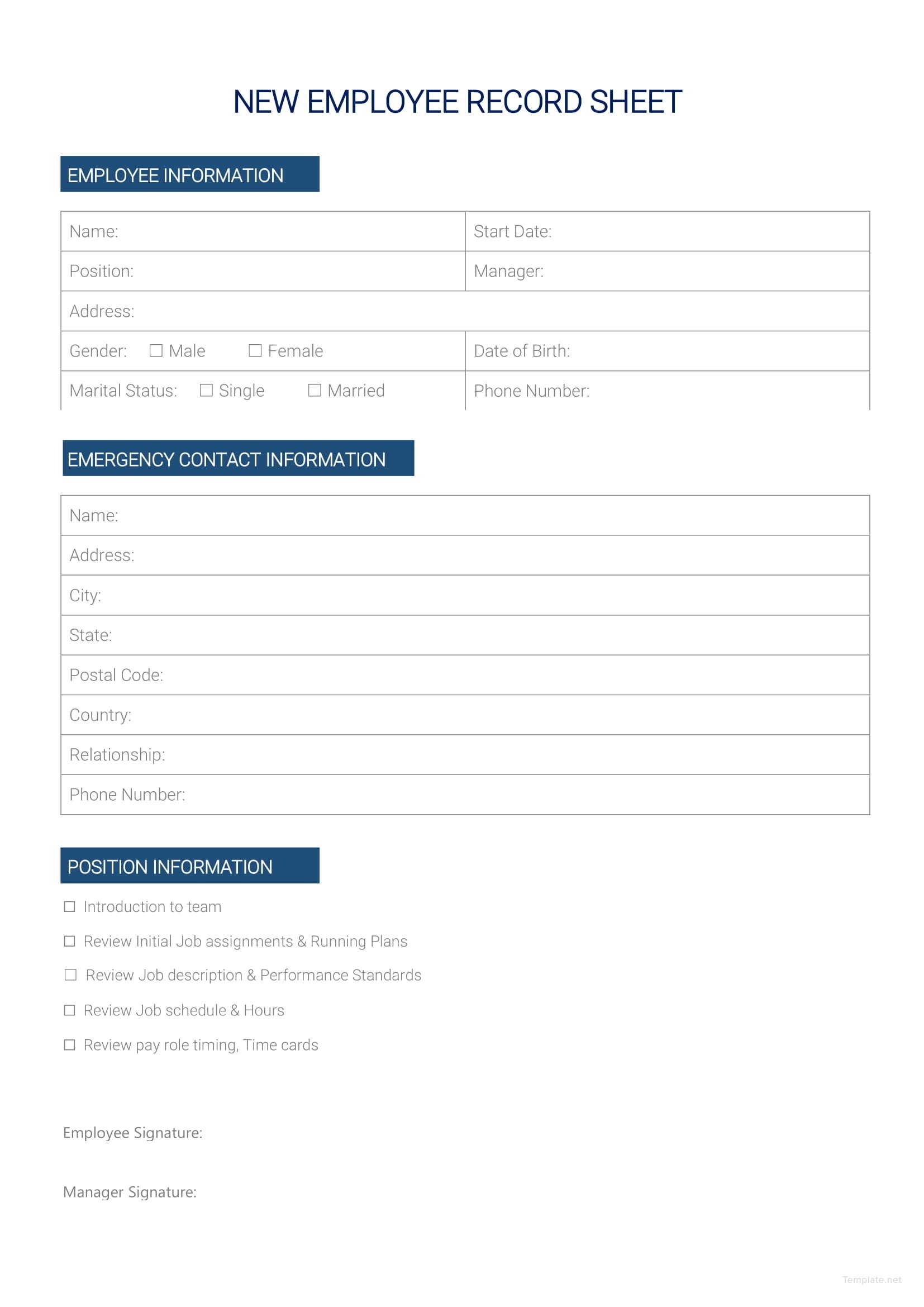 New Employee Record Sheet Template in Microsoft Word Template net