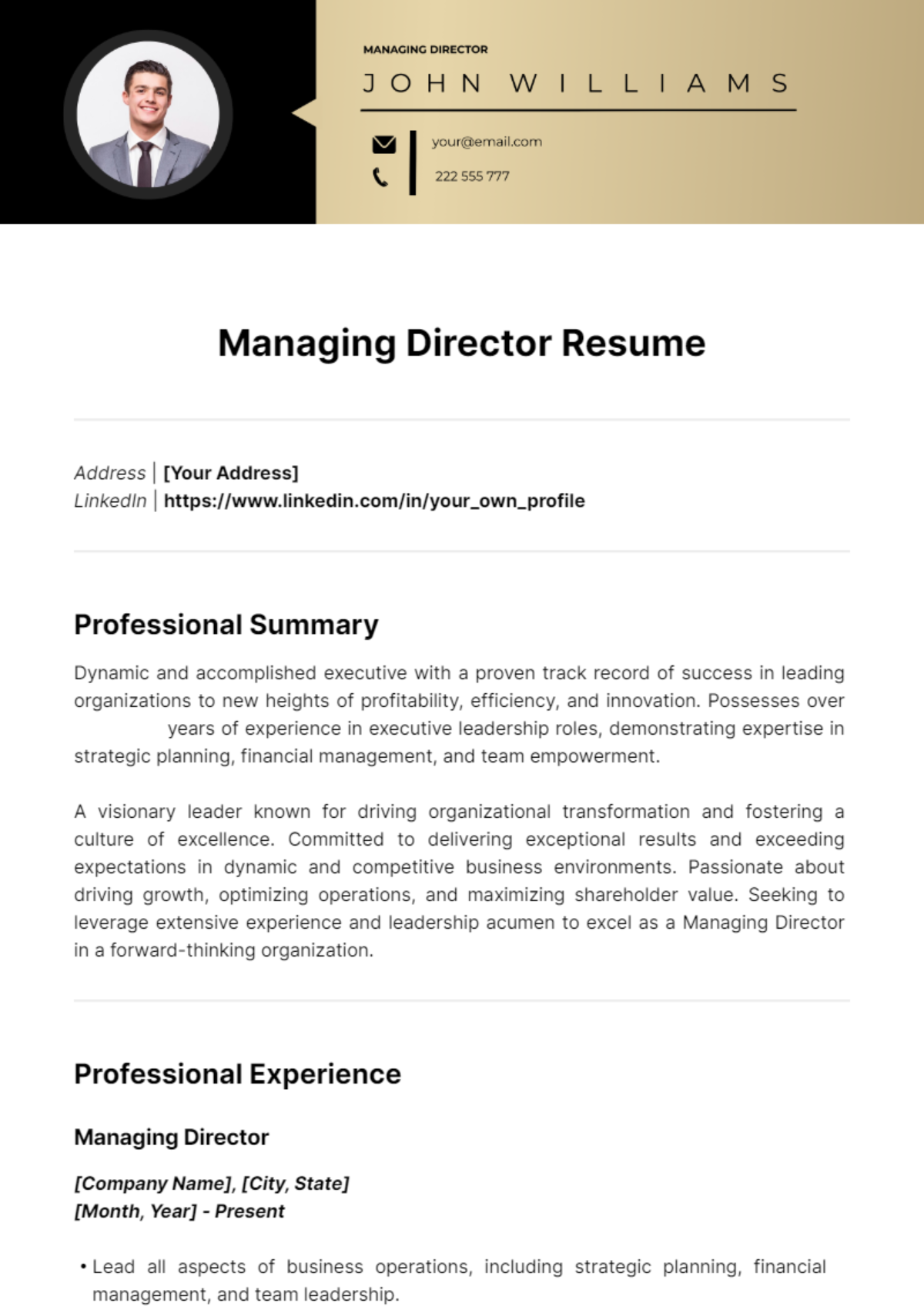 Managing Director Resume Template