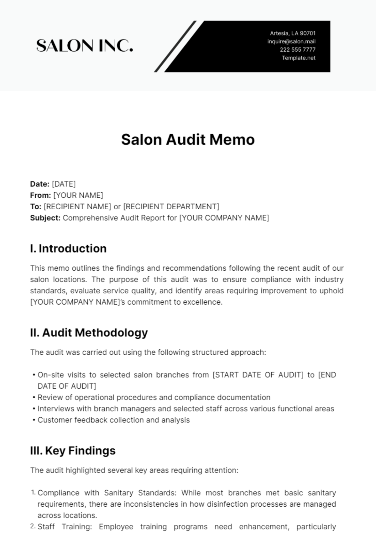 Salon Audit Memo Template - Edit Online & Download