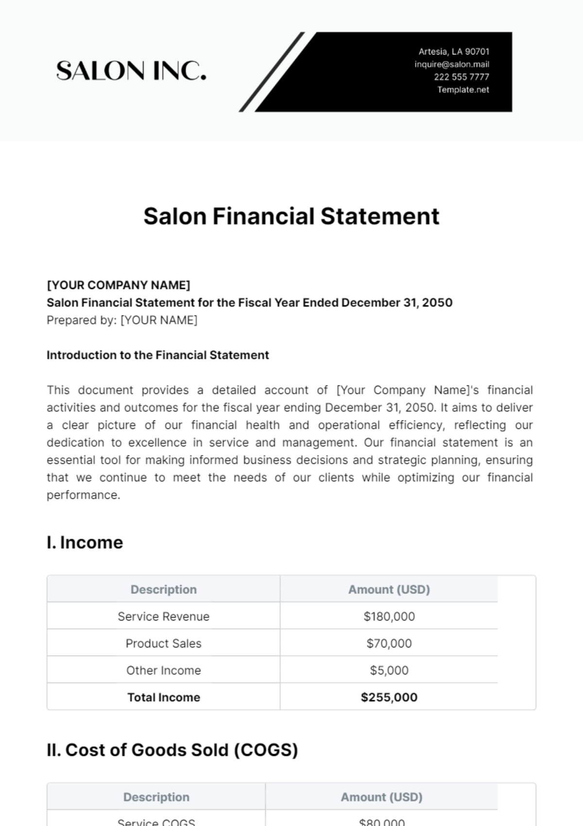 Salon Financial Statement Template