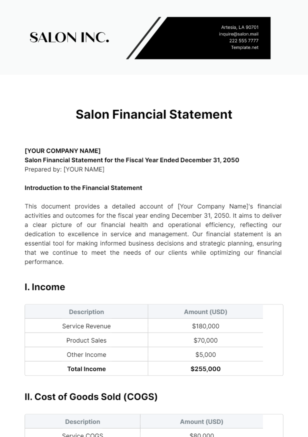 Salon Financial Statement Template - Edit Online & Download