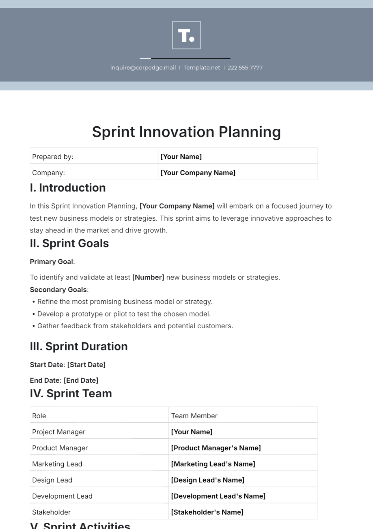 Sprint Innovation Planning Template