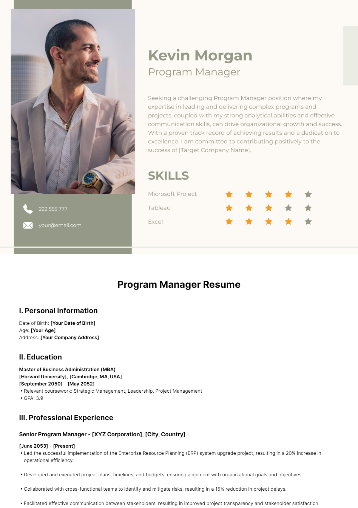 Program Manager Resume Template Edit Online Download Example