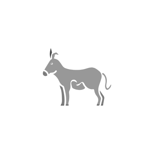 Donkey Animal Icon