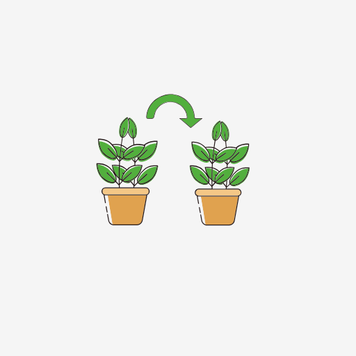 Cloning Plant Icon
