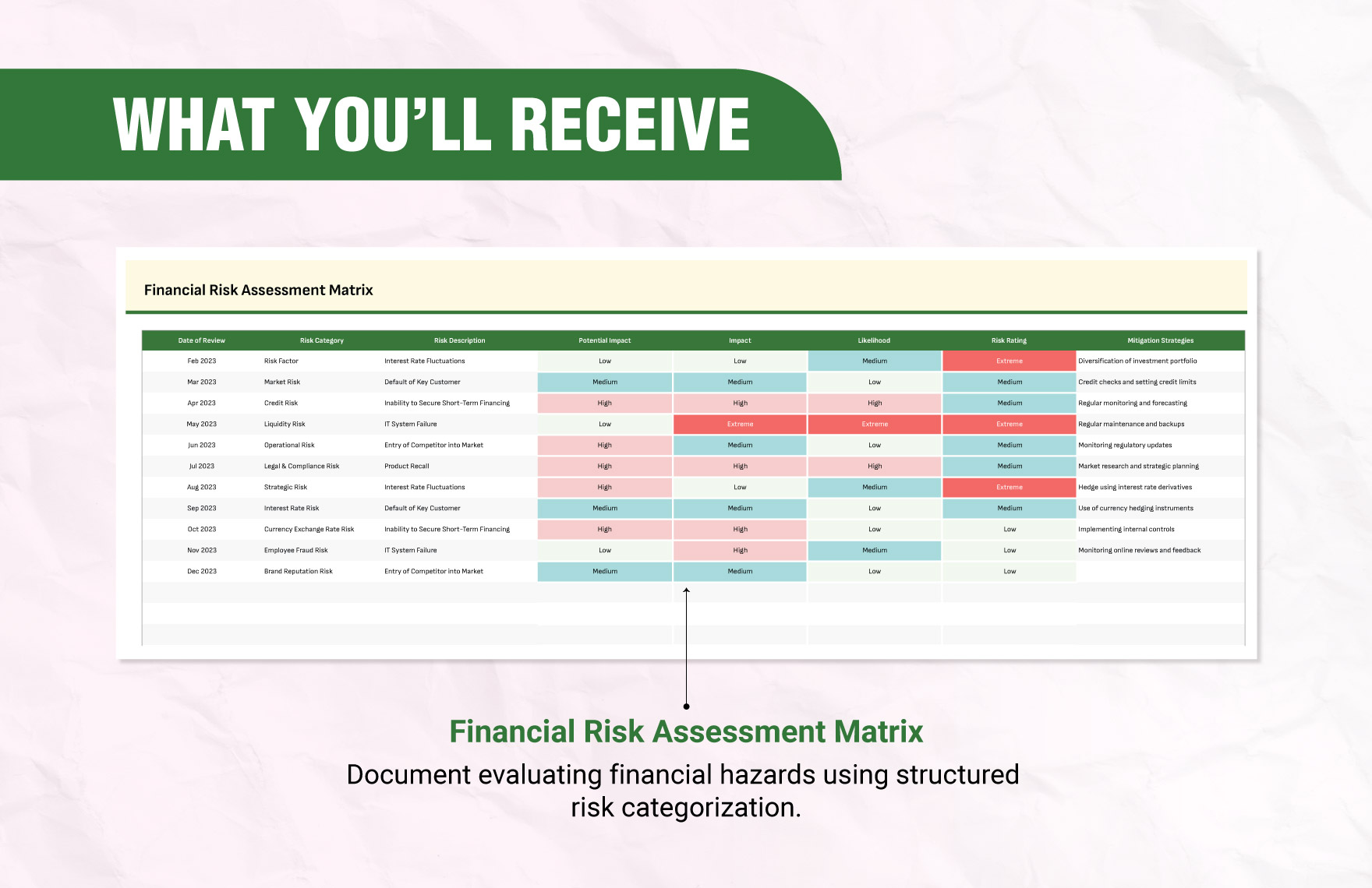 Financial Risk Assessment Matrix Template
