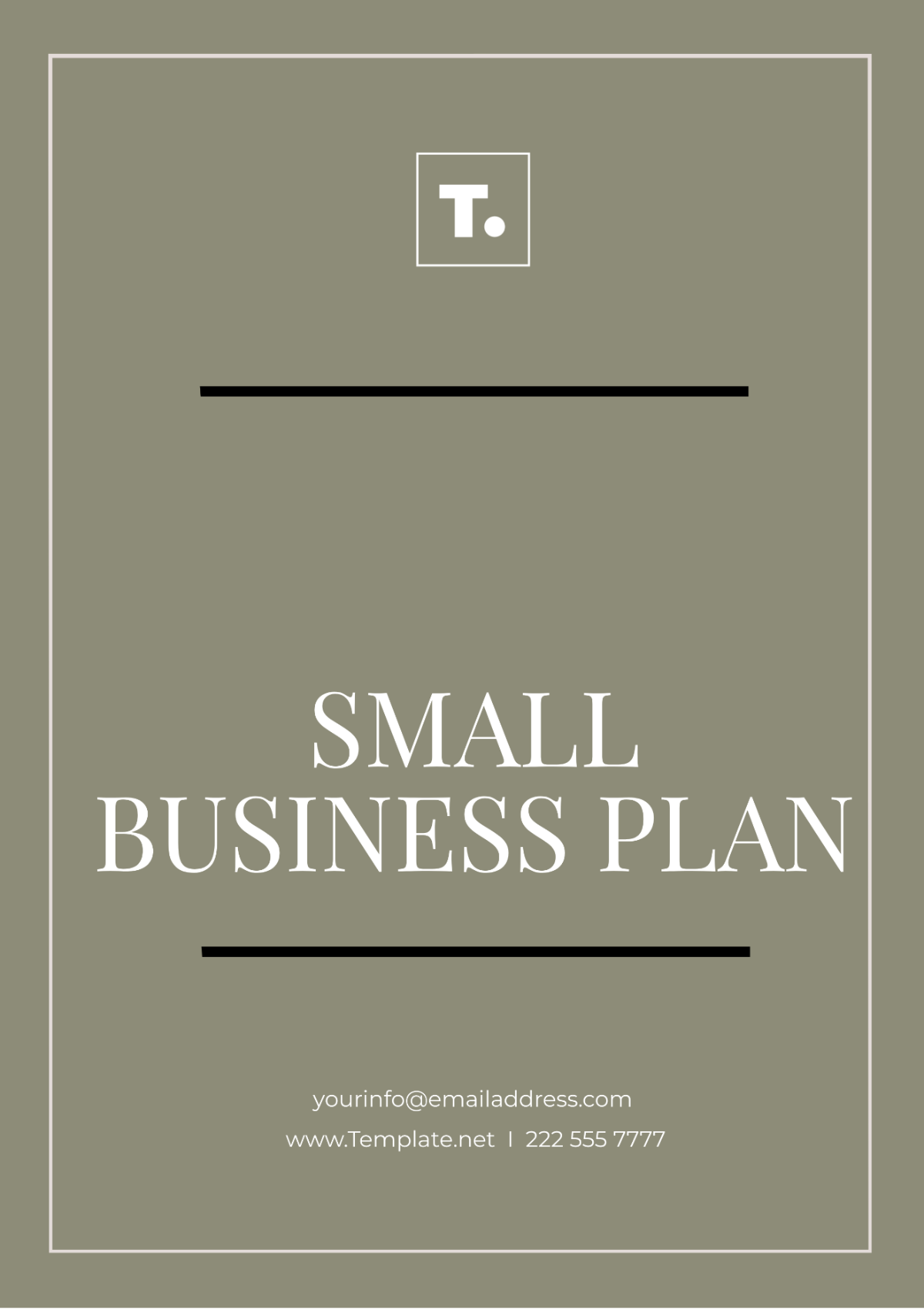 Small Business Plan Template