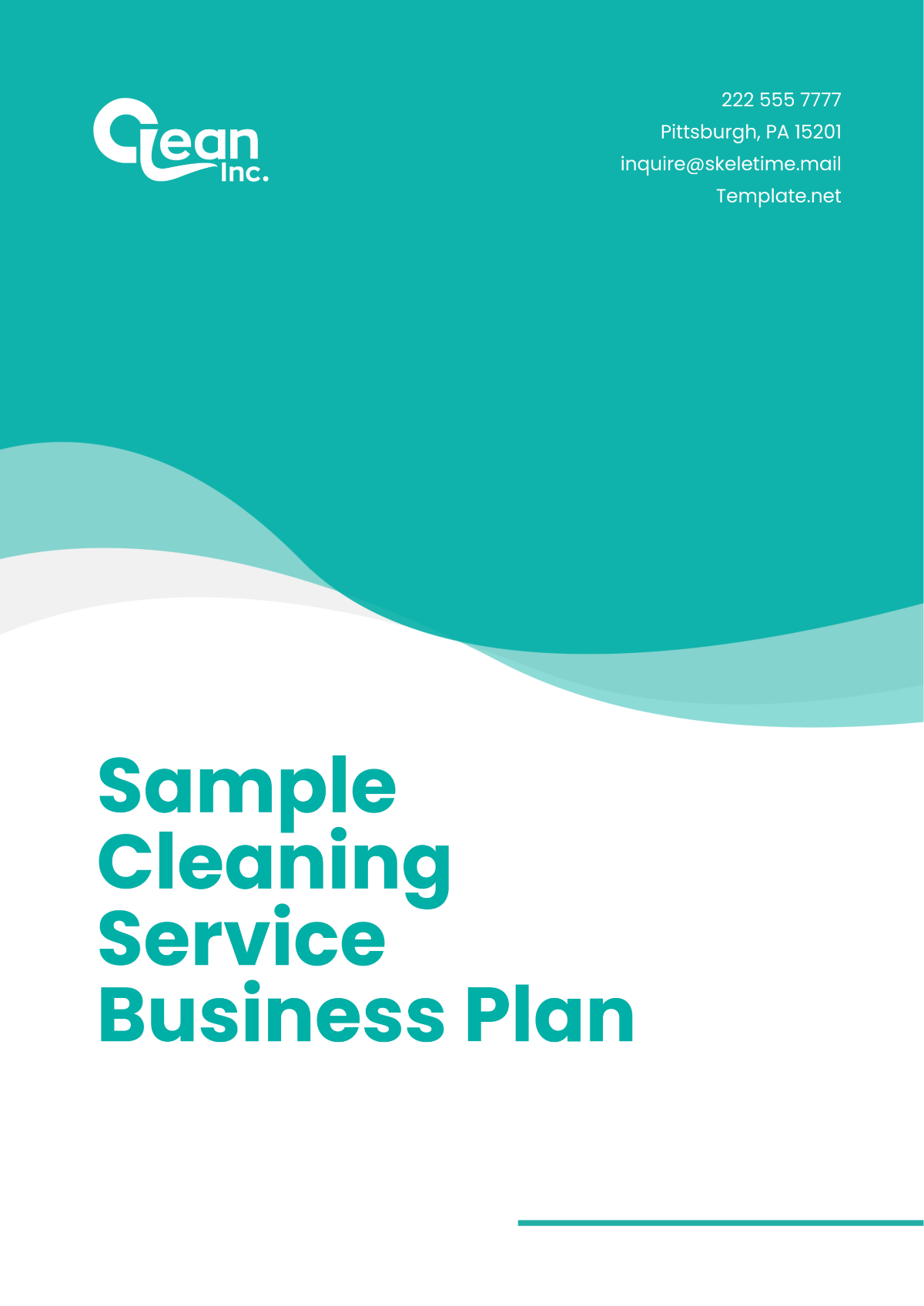 Sample Cleaning Service Business Plan Template - Edit Online & Download