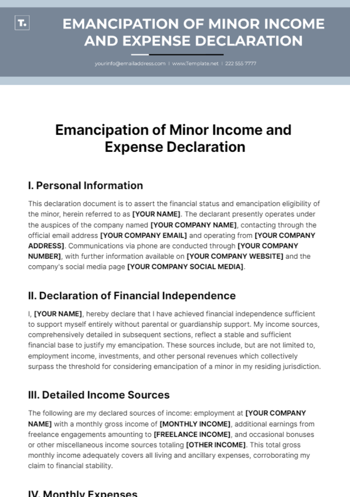 Free Emancipation of Minor Income and Expense Declaration Template