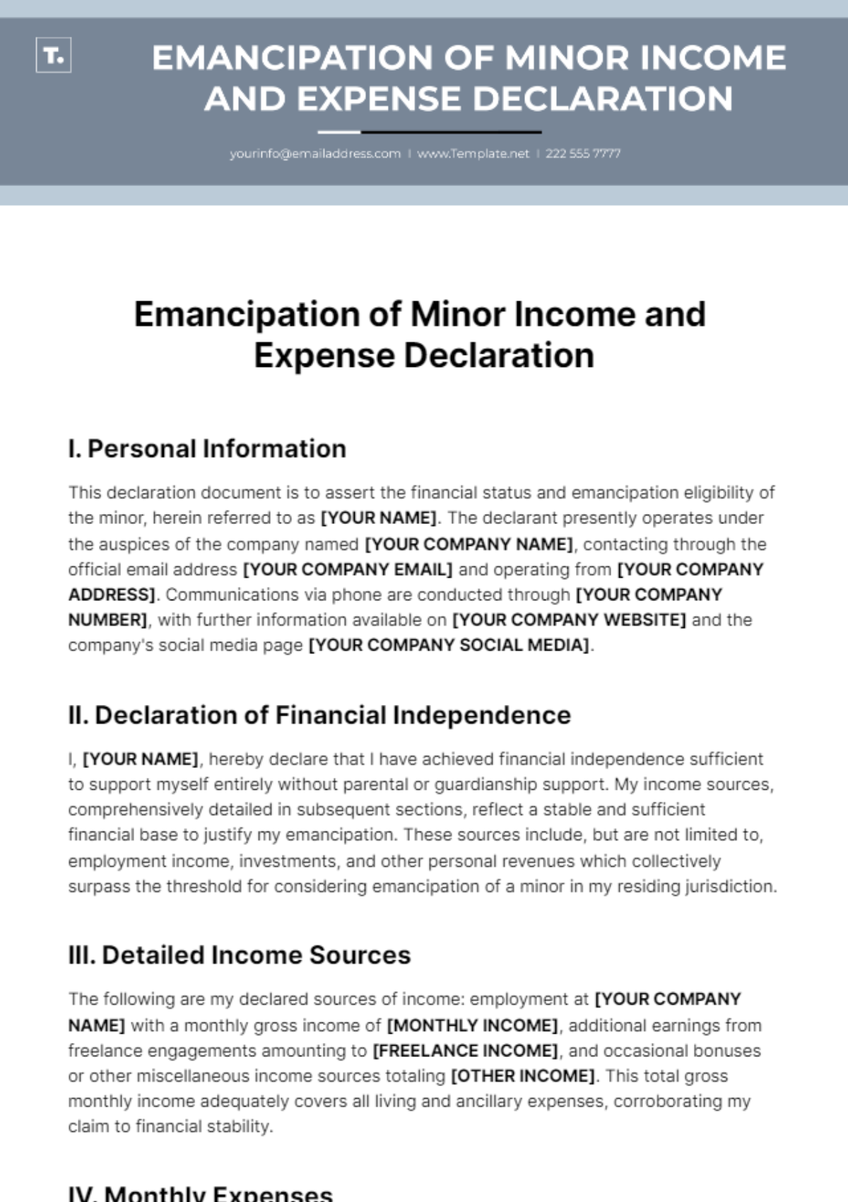 Emancipation of Minor Income and Expense Declaration Template - Edit Online & Download