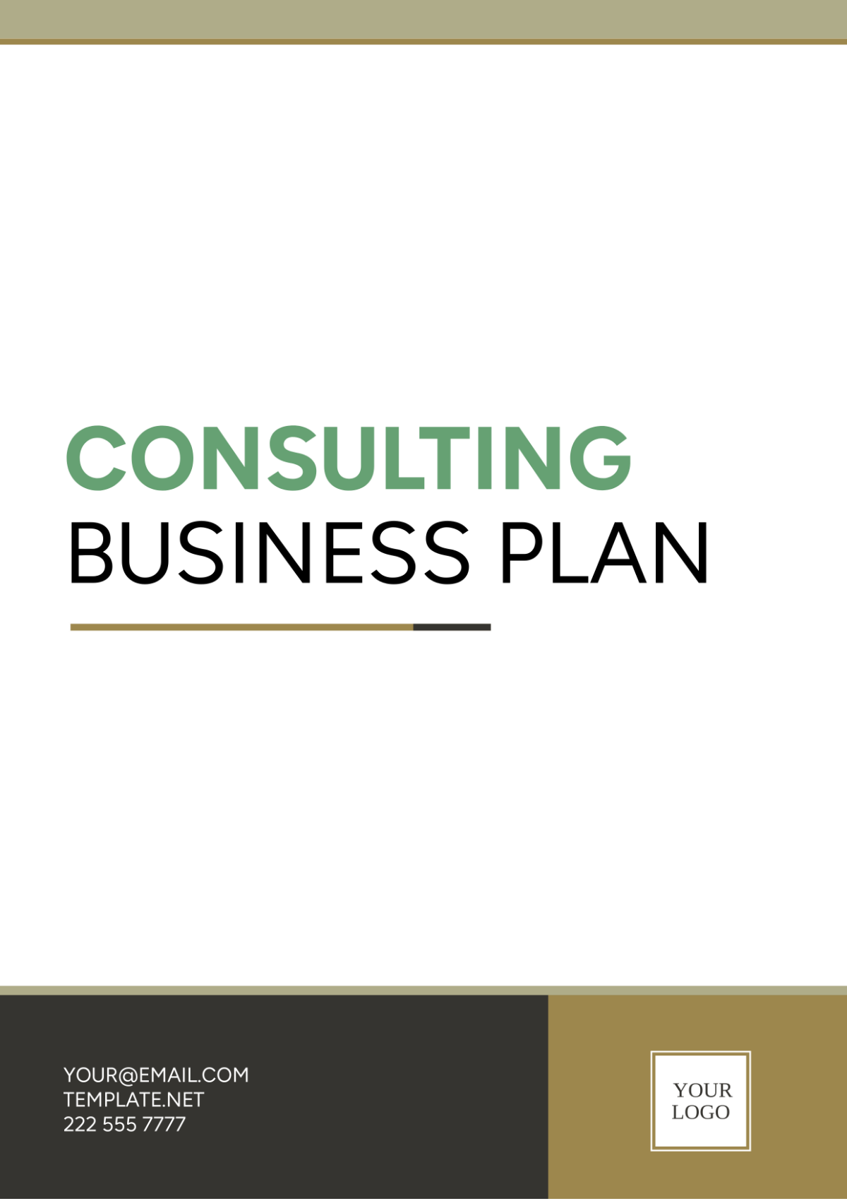 Consulting Business Plan Template