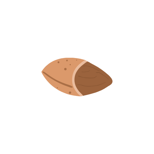 Nuts Food Icon