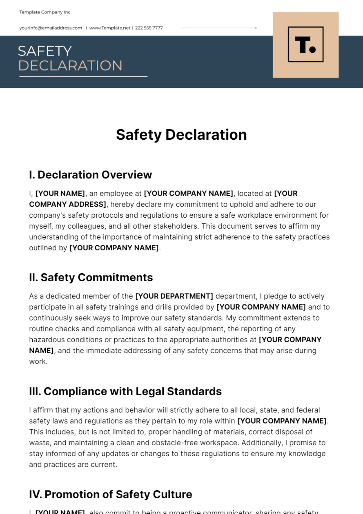 Safety Declaration Template - Edit Online & Download