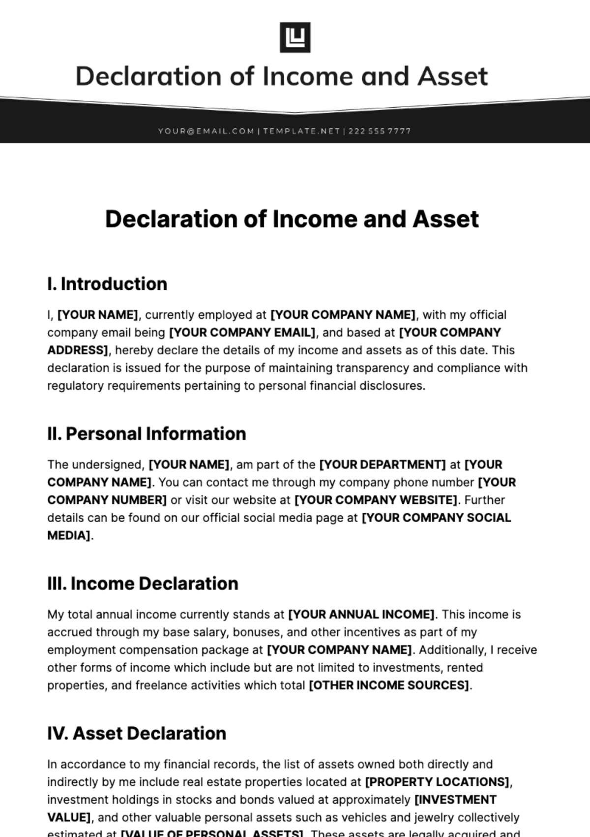 Declaration of Income and Asset Template