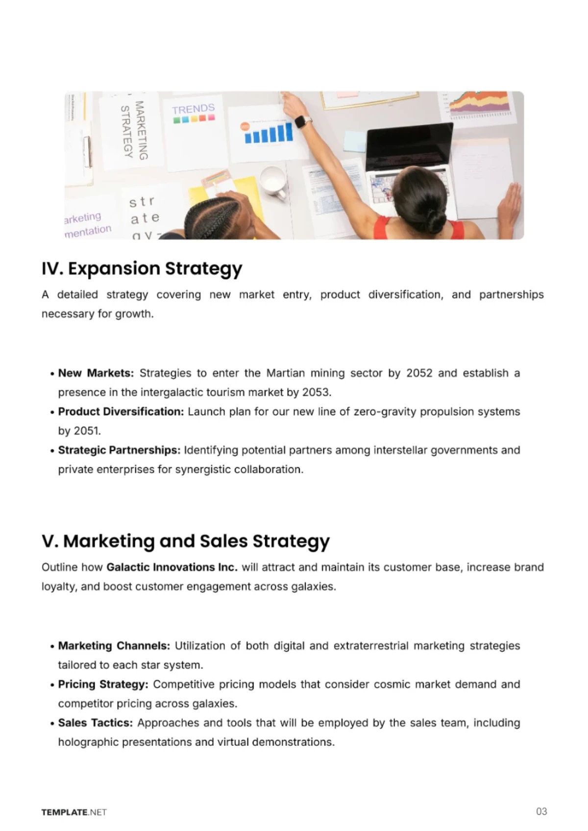 Free Printable Business Expansion Plan Template to Edit Online