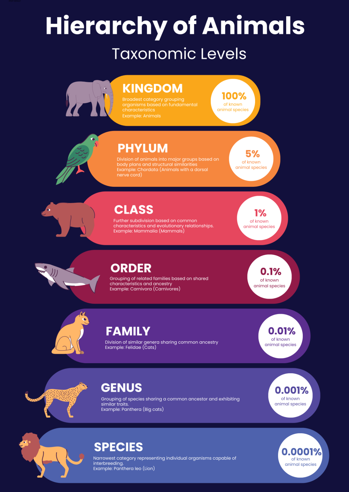 Hierarchy Infographic Free
