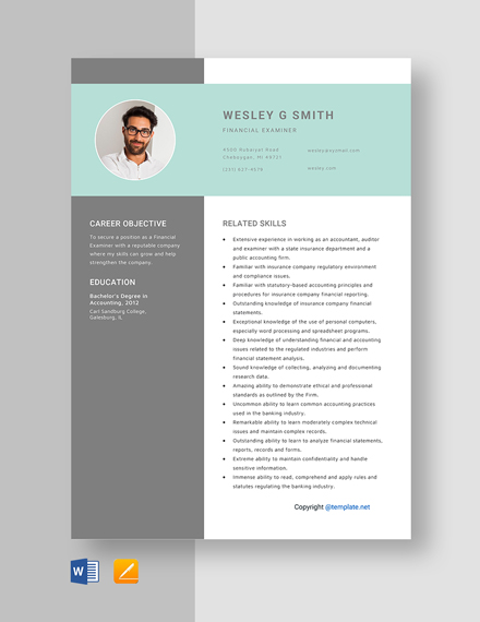 Free Financial Examiner Resume Template - Word, Apple Pages