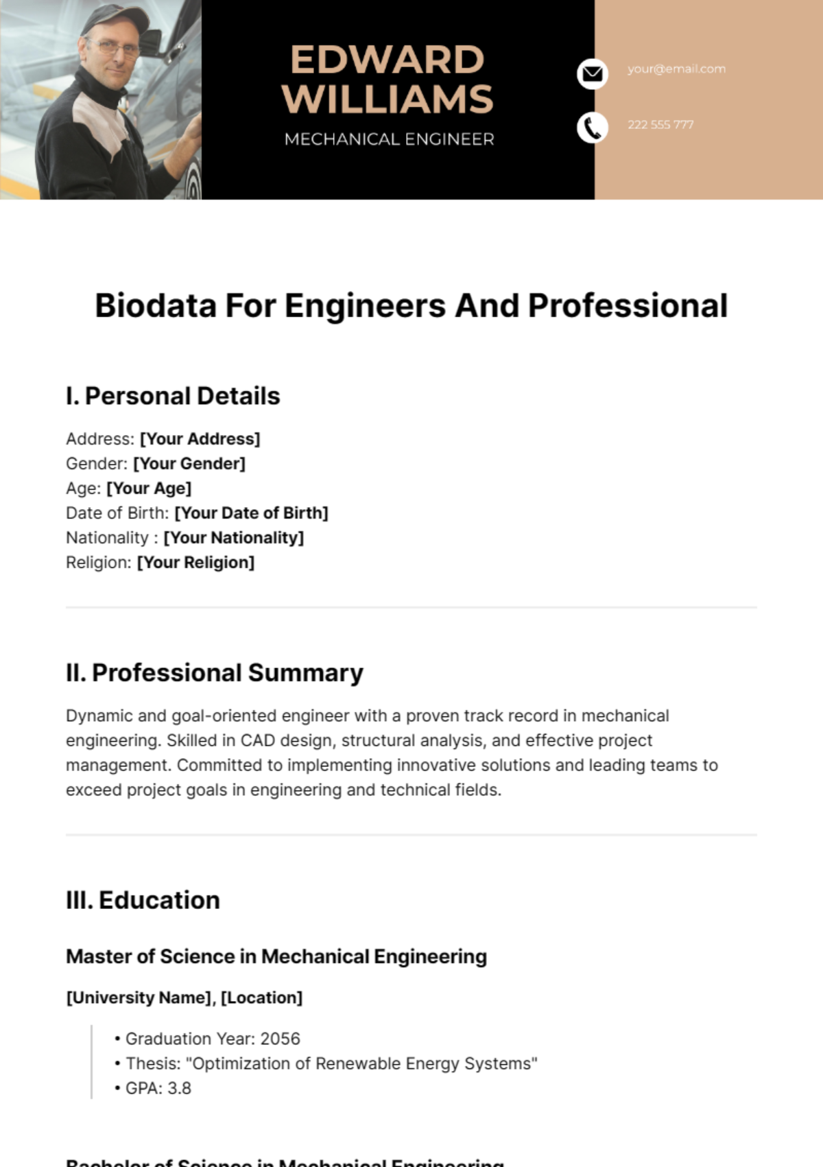 Biodata For Engineers And Professionals Template - Edit Online & Download