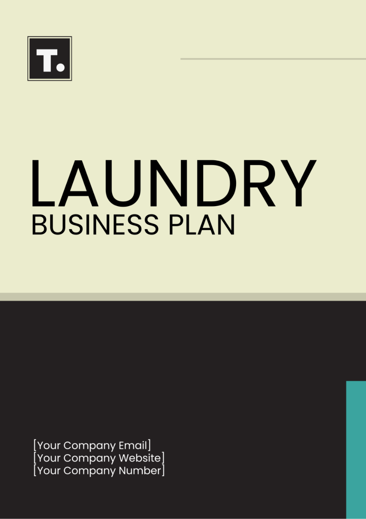 Laundry Business Plan Template - Edit Online & Download