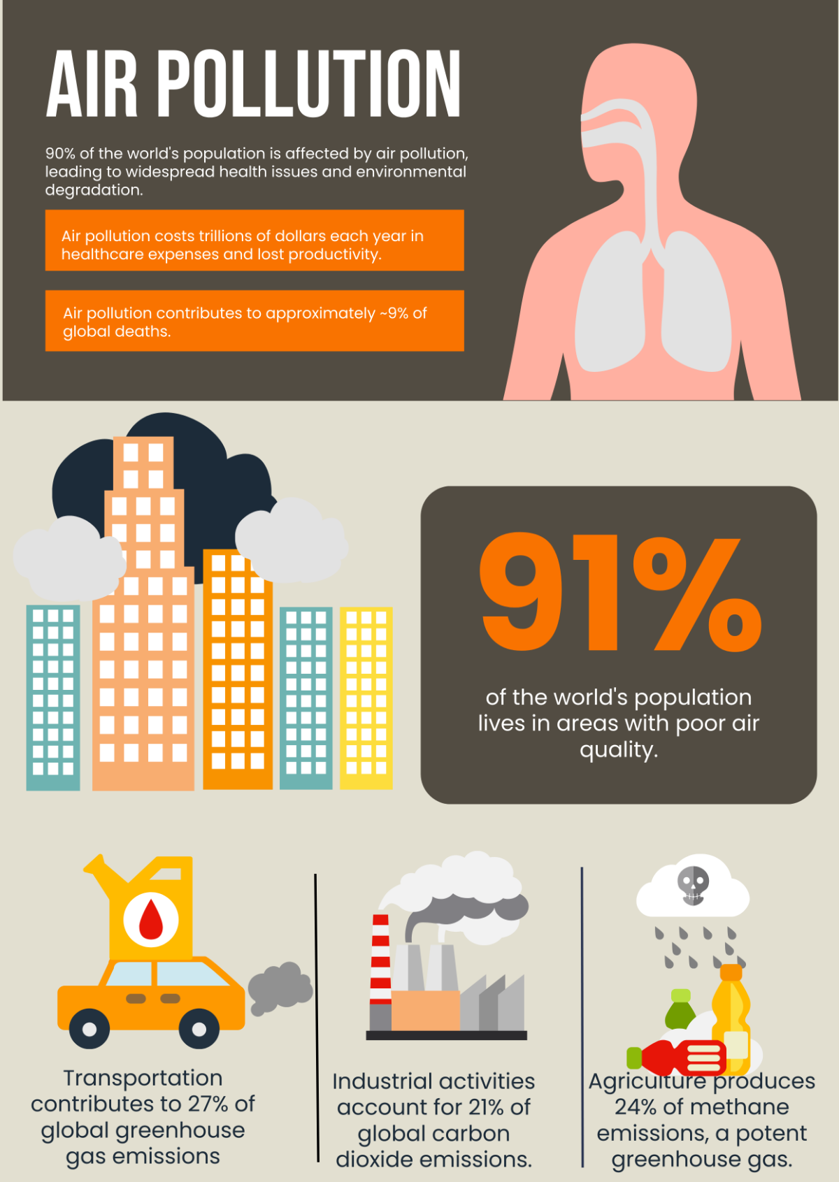 Air Pollution Infographic
