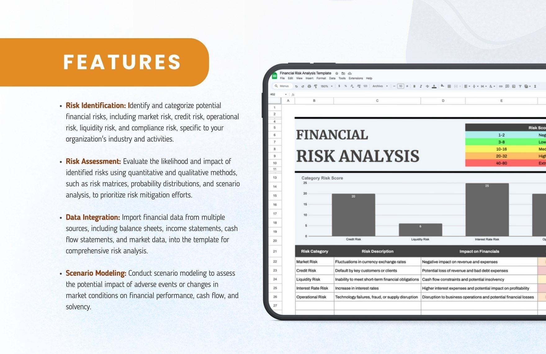 Financial Risk Analysis Template