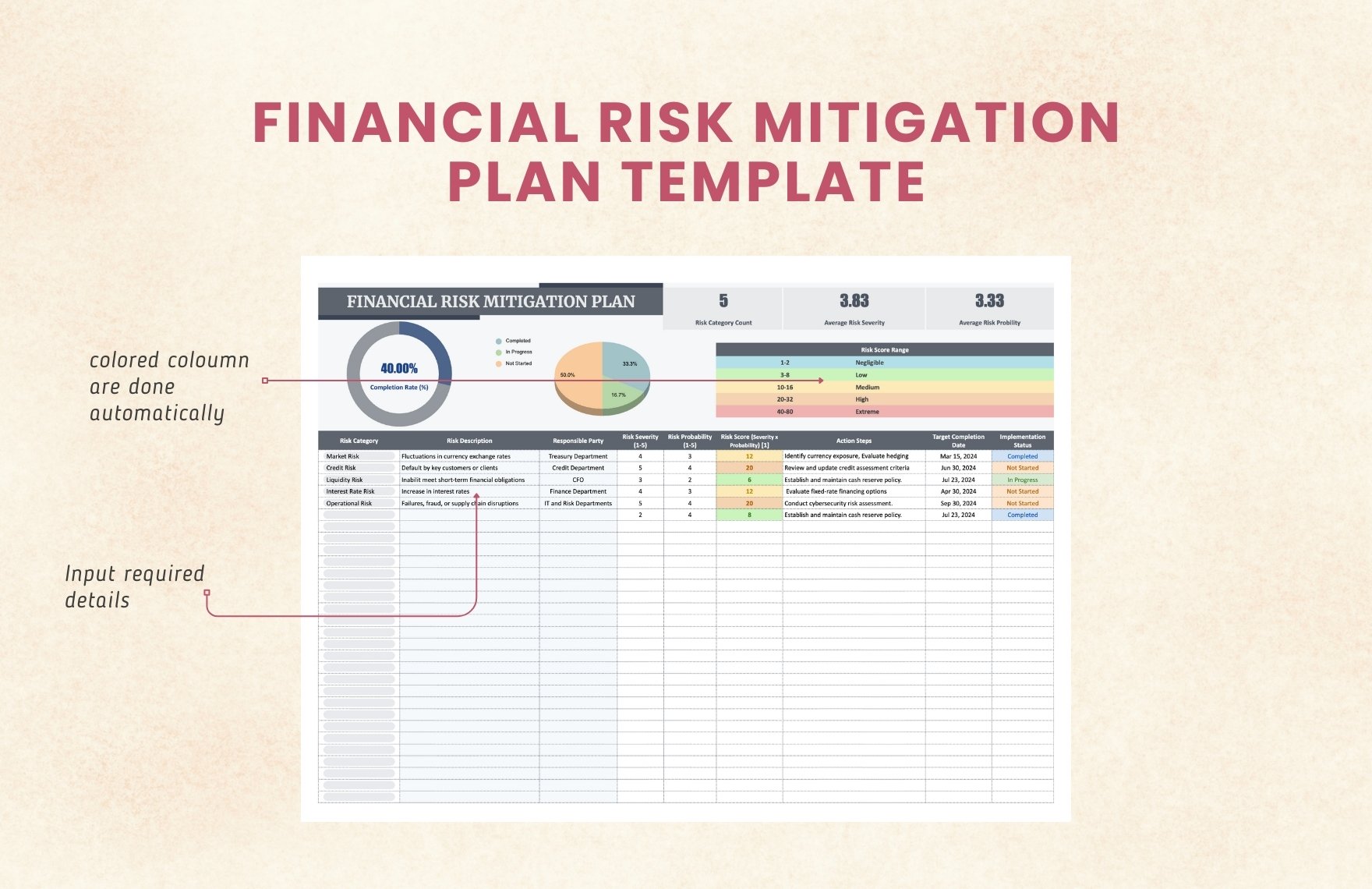 Financial Risk Mitigation Plan Template