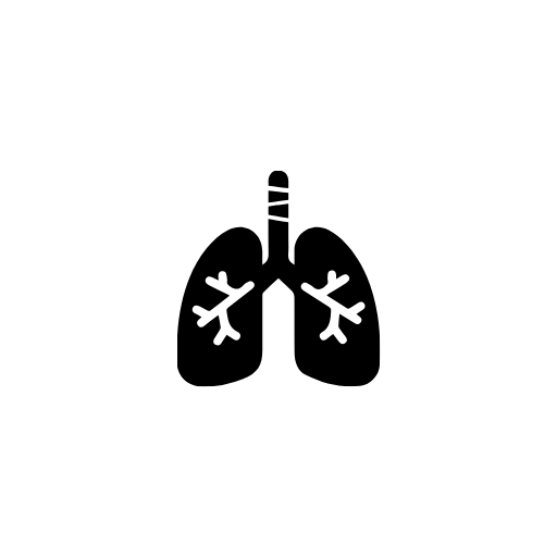Lungs Solid Icon