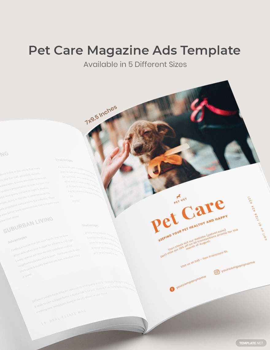 Pet Care Magazine Ads Template