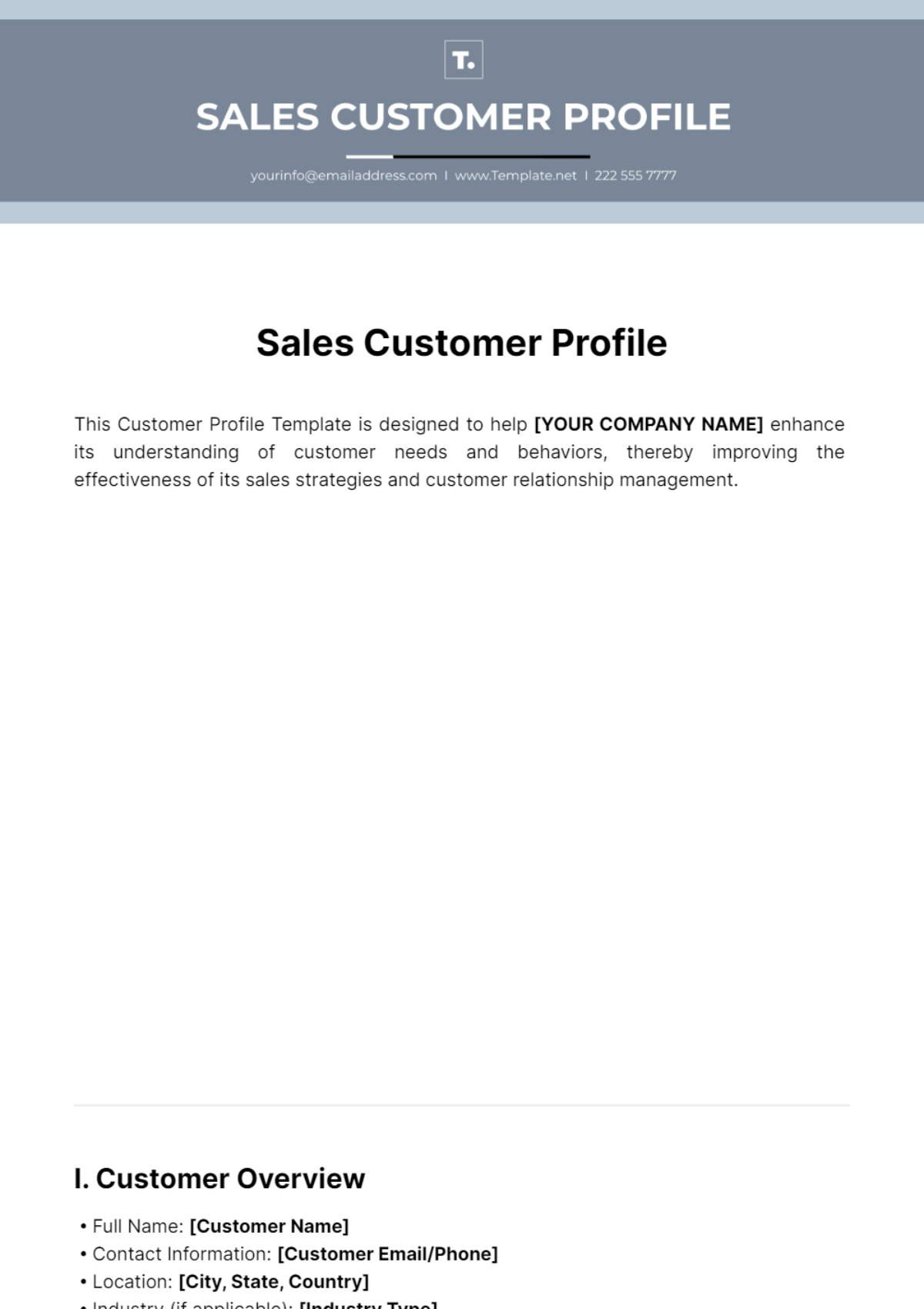 Sales Customer Profile Template