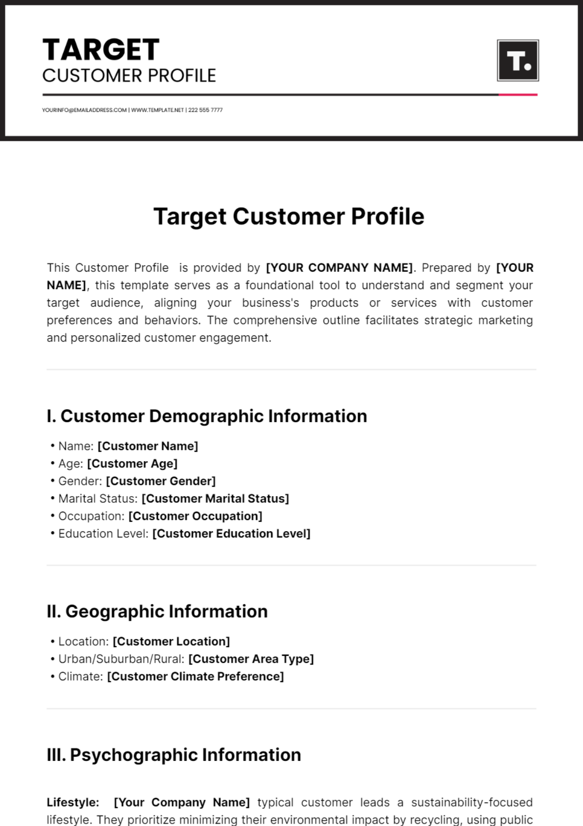 Target Customer Profile Template