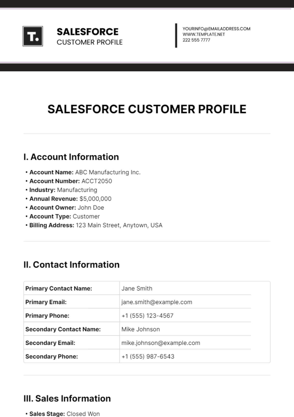 Salesforce Customer Profile Template