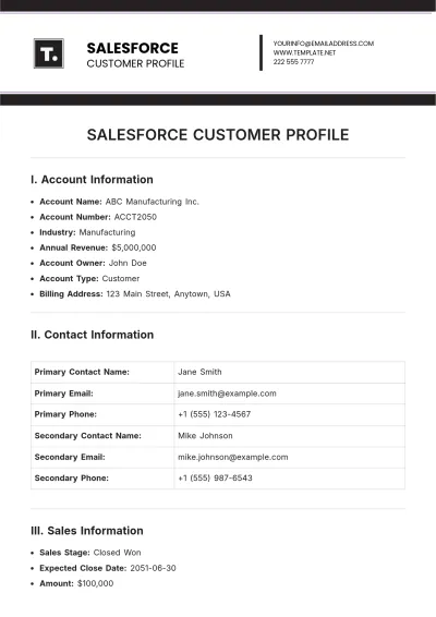 Free Salesforce Customer Profile Template to Edit Online