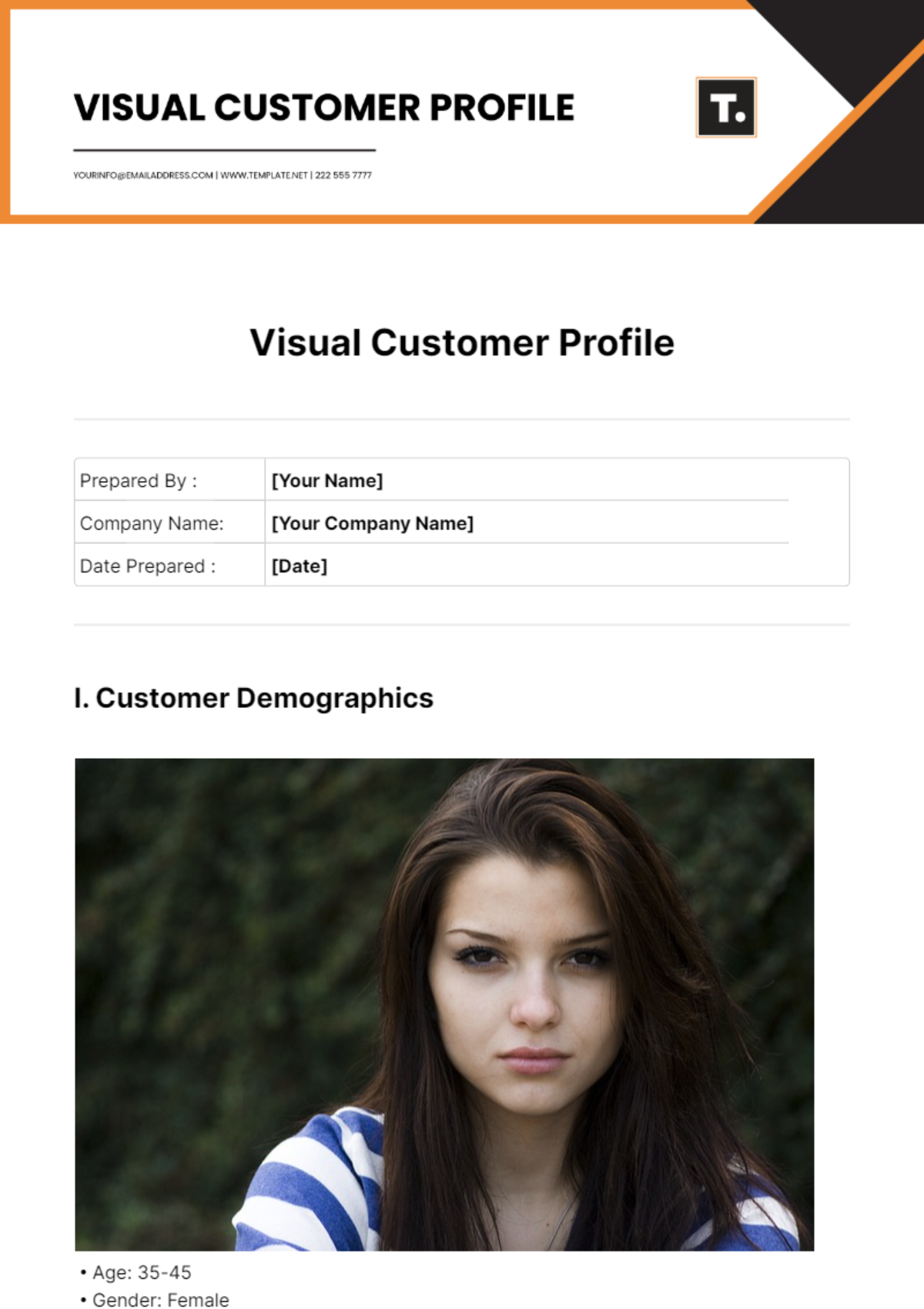 Visual Customer Profile Template