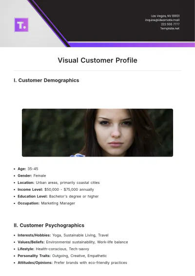 Free Visual Customer Profile Template to Edit Online | Template.net to Edit Online