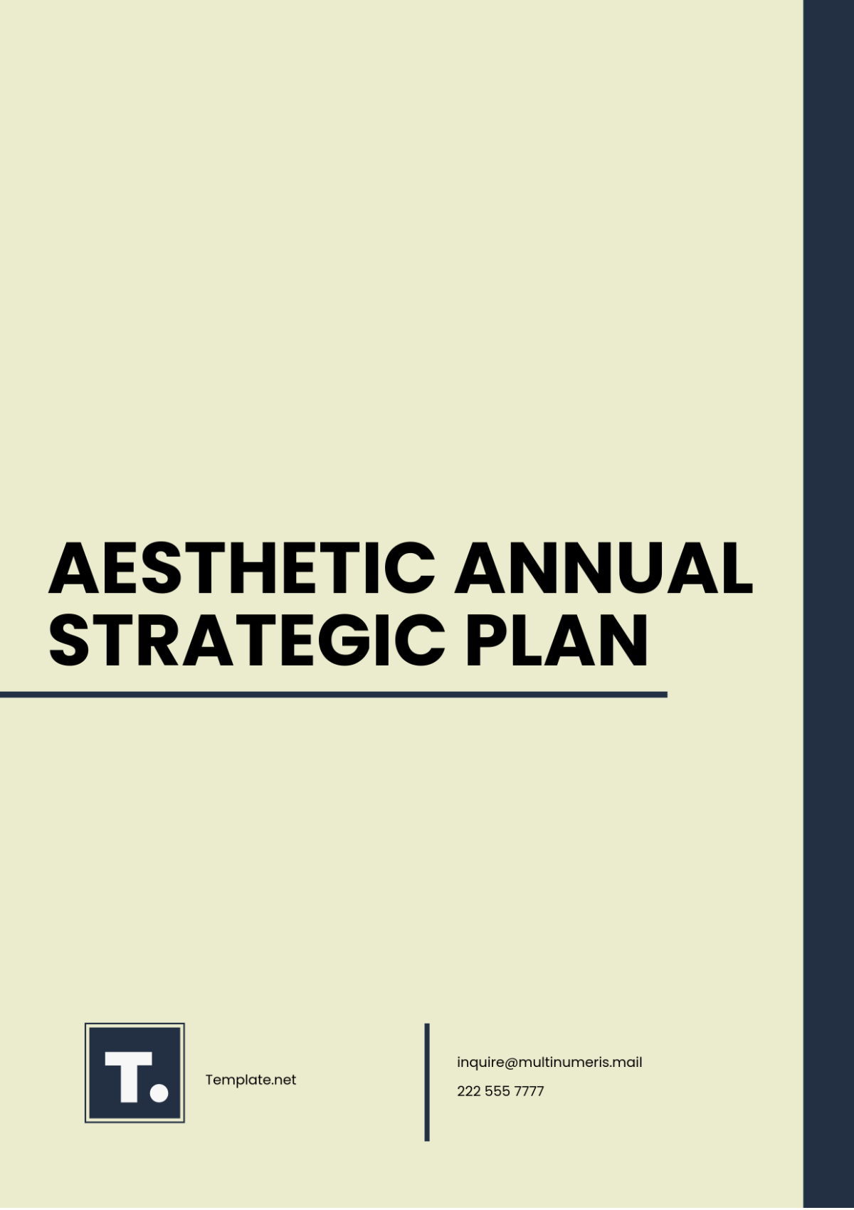 Aesthetic Annual Strategic Plan Template