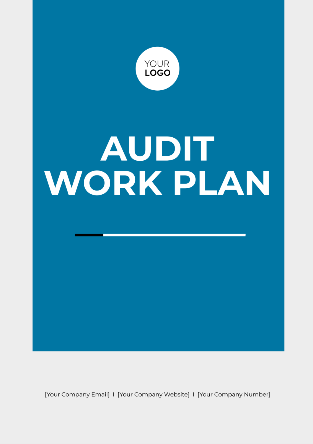 Audit Work Plan Template - Edit Online & Download