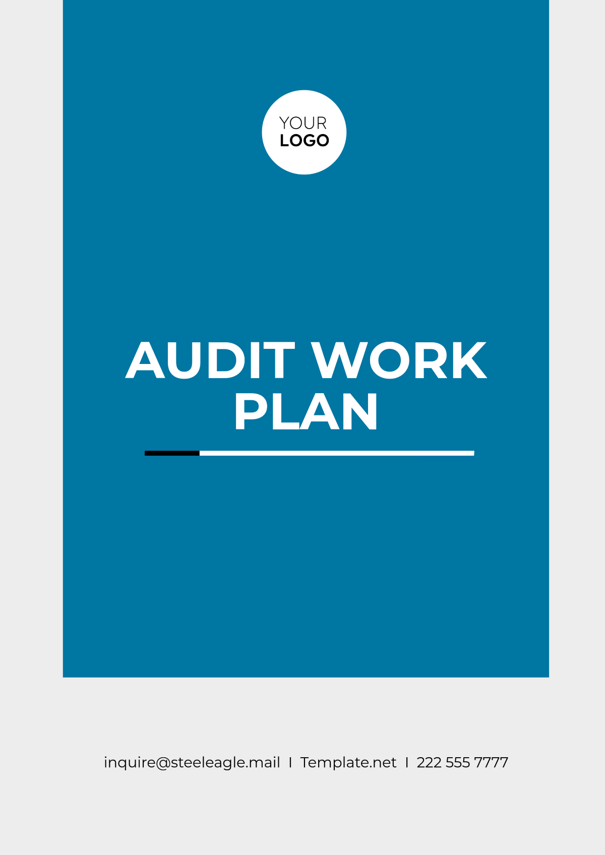 Audit Work Plan Template - Edit Online & Download